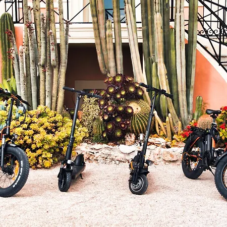 Western Premier De Galles